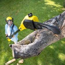Best Landscape Design and Installation  in St Leo, FL