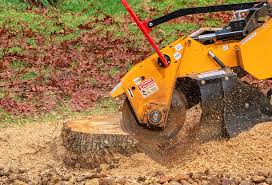 How Our Tree Care Process Works  in  St Leo, FL